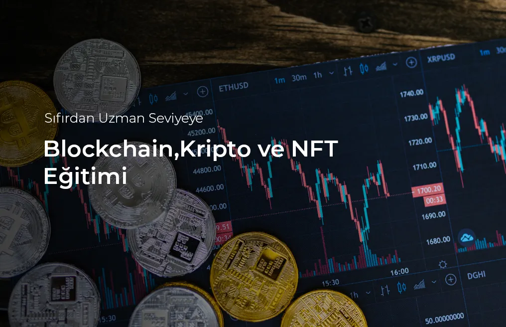 Altın Kariyer Akademi